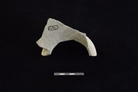 陶罐藏品圖，第2張